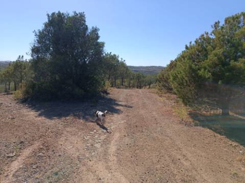TERRENO COM 33.600 M2 - POSSIBILIDADE DE CONSTRUIR ARMAZEM - PRÓXIMO AZINHAL EM CASTRO MARIM - ALGARVE