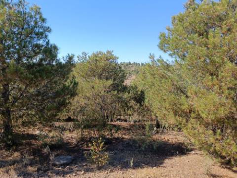 TERRENO COM 33.600 M2 - POSSIBILIDADE DE CONSTRUIR ARMAZEM - PRÓXIMO AZINHAL EM CASTRO MARIM - ALGARVE