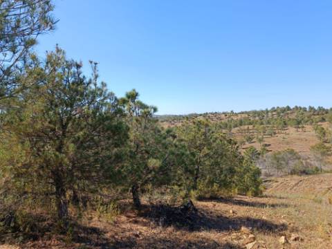 TERRENO COM 33.600 M2 - POSSIBILIDADE DE CONSTRUIR ARMAZEM - PRÓXIMO AZINHAL EM CASTRO MARIM - ALGARVE