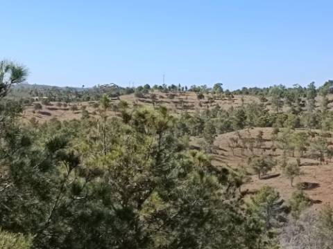 TERRENO COM 33.600 M2 - POSSIBILIDADE DE CONSTRUIR ARMAZEM - PRÓXIMO AZINHAL EM CASTRO MARIM - ALGARVE