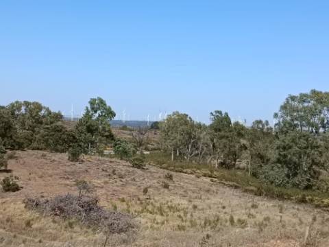 TERRENO COM 33.600 M2 - POSSIBILIDADE DE CONSTRUIR ARMAZEM - PRÓXIMO AZINHAL EM CASTRO MARIM - ALGARVE