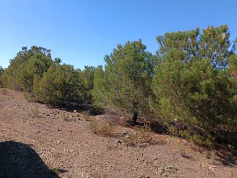 TERRENO COM 33.600 M2 - POSSIBILIDADE DE CONSTRUIR ARMAZEM - PRÓXIMO AZINHAL EM CASTRO MARIM - ALGARVE