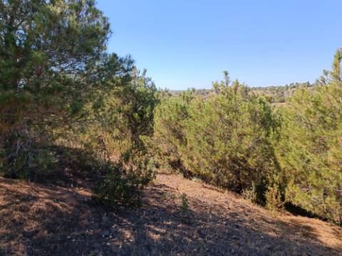 TERRENO COM 33.600 M2 - POSSIBILIDADE DE CONSTRUIR ARMAZEM - PRÓXIMO AZINHAL EM CASTRO MARIM - ALGARVE