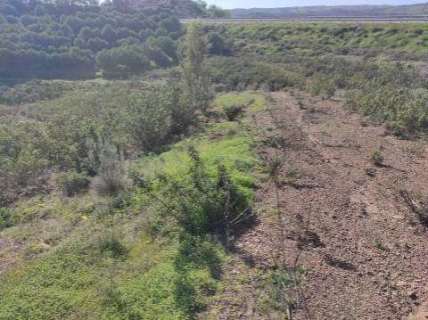 TERRENO RUSTICO COM 9.520 M2 - VISTA DO RIO GUADIANA - VALE ANDREU -CASTRO MARIM - ALGARVE