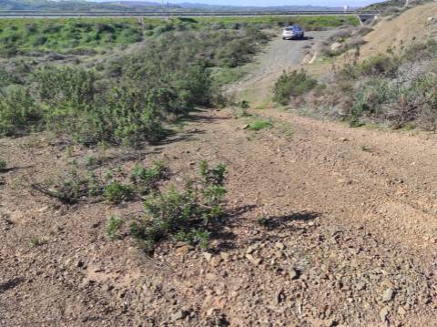 TERRENO RUSTICO COM 9.520 M2 - VISTA DO RIO GUADIANA - VALE ANDREU -CASTRO MARIM - ALGARVE