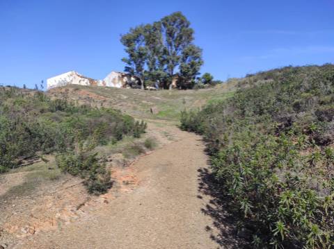 TERRENO RUSTICO COM 9.520 M2 - VISTA DO RIO GUADIANA - VALE ANDREU -CASTRO MARIM - ALGARVE