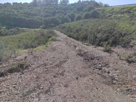 TERRENO RUSTICO COM 9.520 M2 - VISTA DO RIO GUADIANA - VALE ANDREU -CASTRO MARIM - ALGARVE