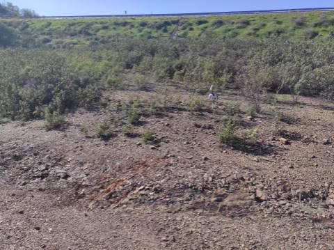 TERRENO RUSTICO COM 9.520 M2 - VISTA DO RIO GUADIANA - VALE ANDREU -CASTRO MARIM - ALGARVE