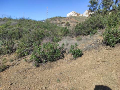 TERRENO RUSTICO COM 9.520 M2 - VISTA DO RIO GUADIANA - VALE ANDREU -CASTRO MARIM - ALGARVE