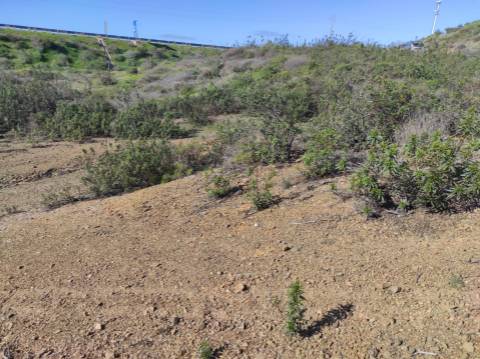 TERRENO RUSTICO COM 9.520 M2 - VISTA DO RIO GUADIANA - VALE ANDREU -CASTRO MARIM - ALGARVE