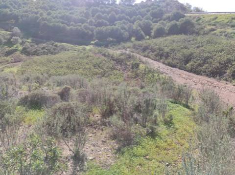 TERRENO RUSTICO COM 9.520 M2 - VISTA DO RIO GUADIANA - VALE ANDREU -CASTRO MARIM - ALGARVE