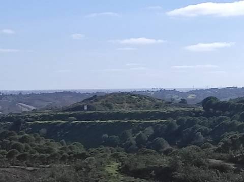 TERRENO RUSTICO COM 9.520 M2 - VISTA DO RIO GUADIANA - VALE ANDREU -CASTRO MARIM - ALGARVE