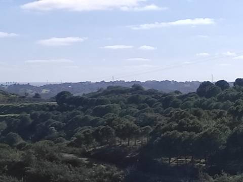 TERRENO RUSTICO COM 9.520 M2 - VISTA DO RIO GUADIANA - VALE ANDREU -CASTRO MARIM - ALGARVE