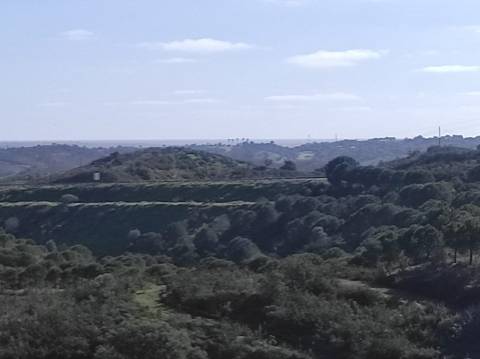 TERRENO RUSTICO COM 9.520 M2 - VISTA DO RIO GUADIANA - VALE ANDREU -CASTRO MARIM - ALGARVE