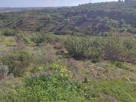 TERRENO RUSTICO COM 9.520 M2 - VISTA DO RIO GUADIANA - VALE ANDREU -CASTRO MARIM - ALGARVE