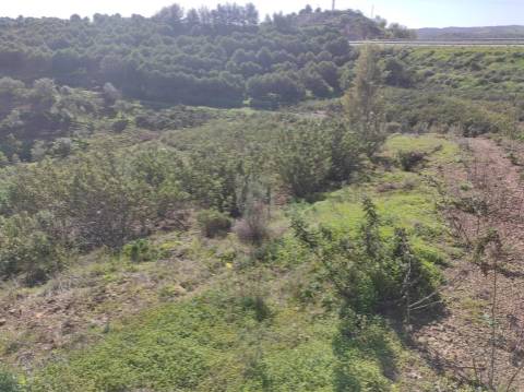 TERRENO RUSTICO COM 9.520 M2 - VISTA DO RIO GUADIANA - VALE ANDREU -CASTRO MARIM - ALGARVE