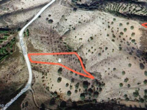 TERRENO RÚSTICO COM 3920 M2 - FONTE CHICÓ EM CASTRO MARIM - ALGARVE