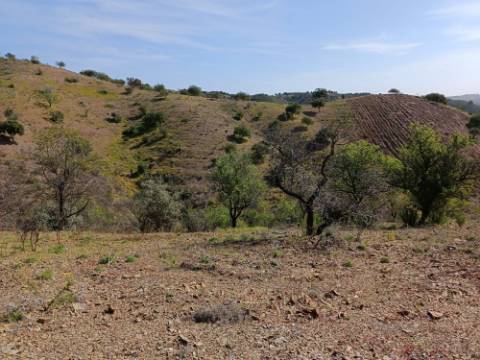 TERRENO RÚSTICO COM 3920 M2 - FONTE CHICÓ EM CASTRO MARIM - ALGARVE