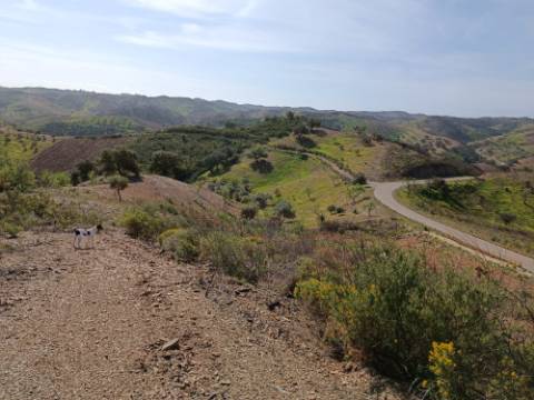 TERRENO RÚSTICO COM 3920 M2 - FONTE CHICÓ EM CASTRO MARIM - ALGARVE