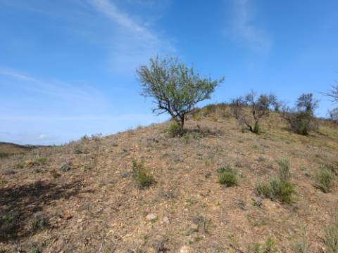 TERRENO RÚSTICO COM 3920 M2 - FONTE CHICÓ EM CASTRO MARIM - ALGARVE