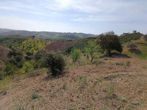 TERRENO RÚSTICO COM 3920 M2 - FONTE CHICÓ EM CASTRO MARIM - ALGARVE