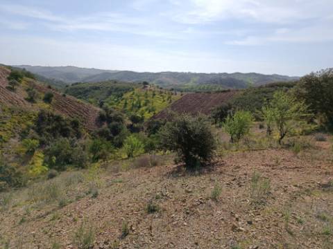 TERRENO RÚSTICO COM 3920 M2 - FONTE CHICÓ EM CASTRO MARIM - ALGARVE