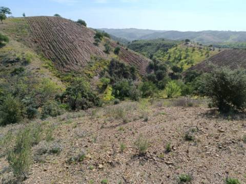 TERRENO RÚSTICO COM 3920 M2 - FONTE CHICÓ EM CASTRO MARIM - ALGARVE