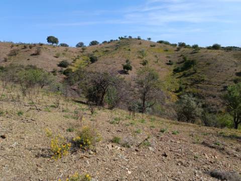 TERRENO RÚSTICO COM 3920 M2 - FONTE CHICÓ EM CASTRO MARIM - ALGARVE