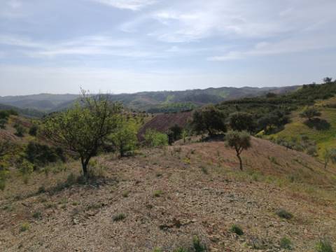TERRENO RÚSTICO COM 3920 M2 - FONTE CHICÓ EM CASTRO MARIM - ALGARVE