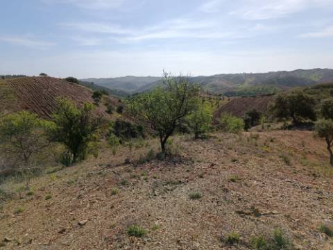 TERRENO RÚSTICO COM 3920 M2 - FONTE CHICÓ EM CASTRO MARIM - ALGARVE