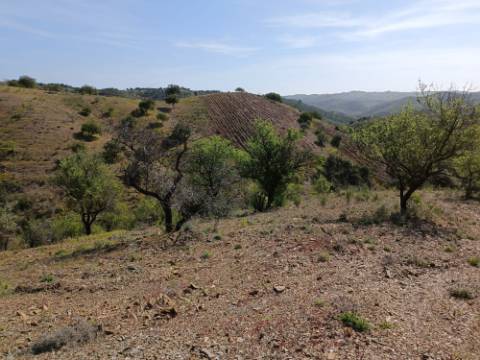TERRENO RÚSTICO COM 3920 M2 - FONTE CHICÓ EM CASTRO MARIM - ALGARVE