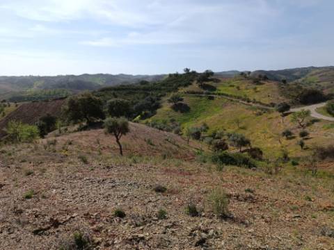TERRENO RÚSTICO COM 3920 M2 - FONTE CHICÓ EM CASTRO MARIM - ALGARVE