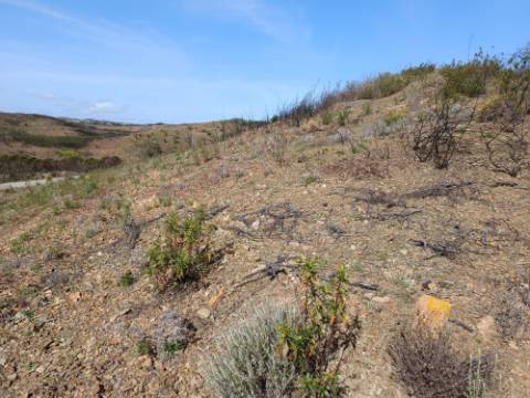 TERRENO RÚSTICO COM 3920 M2 - FONTE CHICÓ EM CASTRO MARIM - ALGARVE