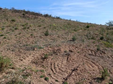 TERRENO RÚSTICO COM 3920 M2 - FONTE CHICÓ EM CASTRO MARIM - ALGARVE