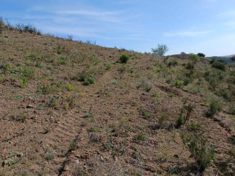 TERRENO RÚSTICO COM 3920 M2 - FONTE CHICÓ EM CASTRO MARIM - ALGARVE