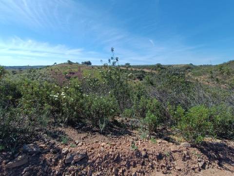 TERRENO RUSTICO COM 8.280 M2 - PRÓXIMO DO MAGOITO EM ODELEITE - CASTRO MARIM - ALGARVE