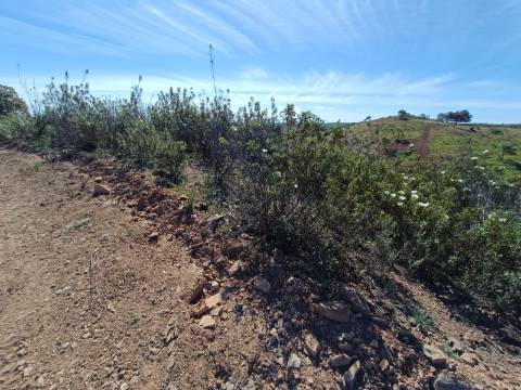 TERRENO RUSTICO COM 8.280 M2 - PRÓXIMO DO MAGOITO EM ODELEITE - CASTRO MARIM - ALGARVE