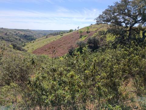 TERRENO RUSTICO COM 8.280 M2 - PRÓXIMO DO MAGOITO EM ODELEITE - CASTRO MARIM - ALGARVE