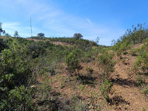 TERRENO RUSTICO COM 8.280 M2 - PRÓXIMO DO MAGOITO EM ODELEITE - CASTRO MARIM - ALGARVE