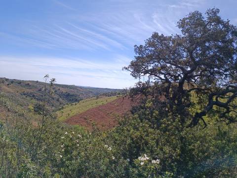 TERRENO RUSTICO COM 8.280 M2 - PRÓXIMO DO MAGOITO EM ODELEITE - CASTRO MARIM - ALGARVE