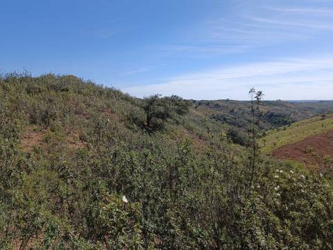 TERRENO RUSTICO COM 8.280 M2 - PRÓXIMO DO MAGOITO EM ODELEITE - CASTRO MARIM - ALGARVE
