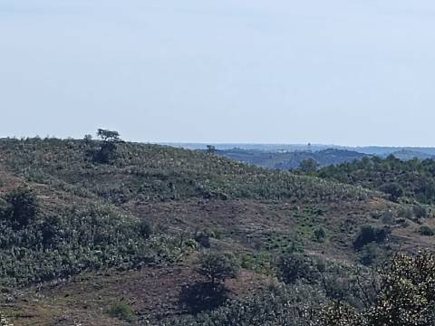 TERRENO RUSTICO COM 8.280 M2 - PRÓXIMO DO MAGOITO EM ODELEITE - CASTRO MARIM - ALGARVE