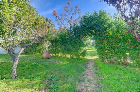 Quinta junto a núcleo urbano, com a possibilidade de construção de 7 moradias com piscina