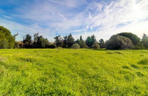 Quinta junto a núcleo urbano, com a possibilidade de construção de 7 moradias com piscina