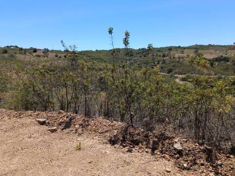 TERRENO COM 10.160 M2 - PRÓXIMO A CORTE DO GAGO - CASTRO MARIM - ALGARVE