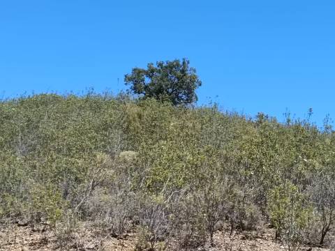 TERRENO COM 10.160 M2 - PRÓXIMO A CORTE DO GAGO - CASTRO MARIM - ALGARVE