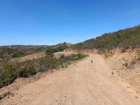 TERRENO COM 10.160 M2 - PRÓXIMO A CORTE DO GAGO - CASTRO MARIM - ALGARVE