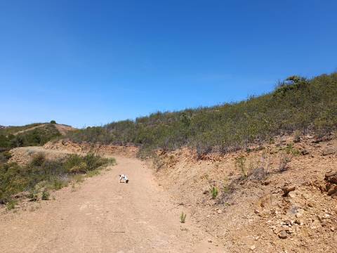 TERRENO COM 10.160 M2 - PRÓXIMO A CORTE DO GAGO - CASTRO MARIM - ALGARVE