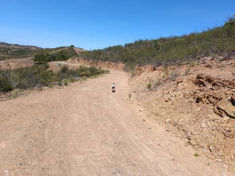 TERRENO COM 10.160 M2 - PRÓXIMO A CORTE DO GAGO - CASTRO MARIM - ALGARVE
