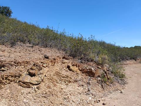 TERRENO COM 10.160 M2 - PRÓXIMO A CORTE DO GAGO - CASTRO MARIM - ALGARVE